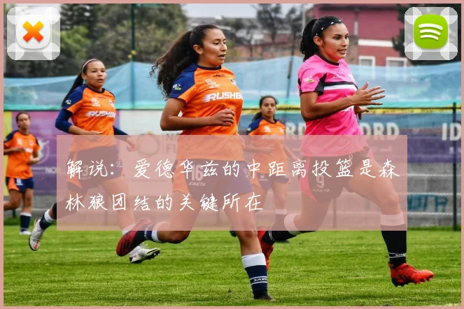 解说：爱德华兹的中距离投篮是森林狼团结的关键所在