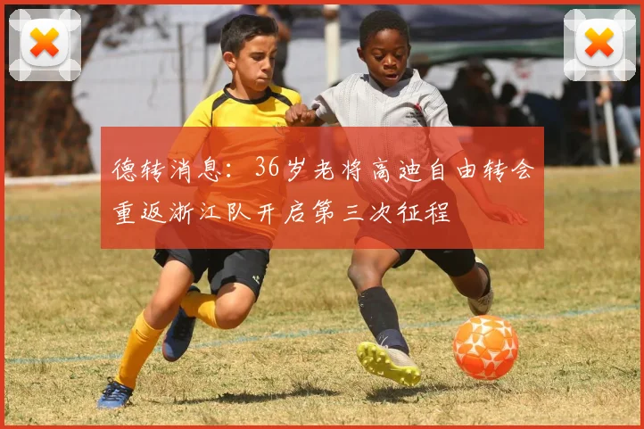 德转消息：36岁老将高迪自由转会重返浙江队开启第三次征程