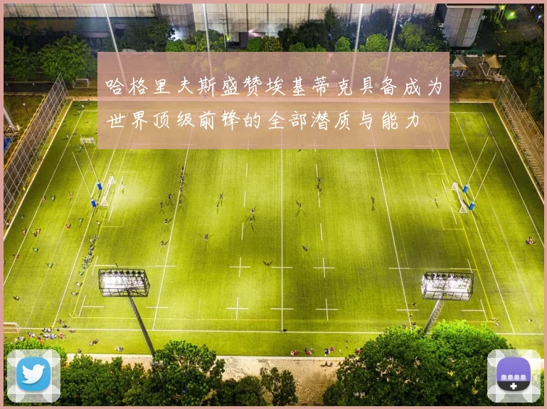 哈格里夫斯盛赞埃基蒂克具备成为世界顶级前锋的全部潜质与能力